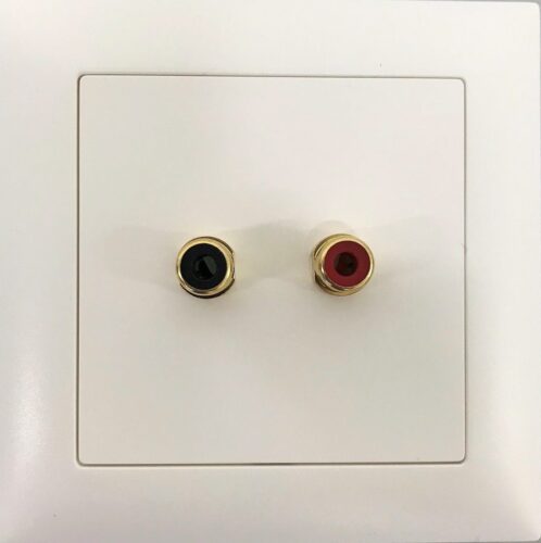 0114727_unterputzanschluss-mit-2x-cinchbuchsen-output