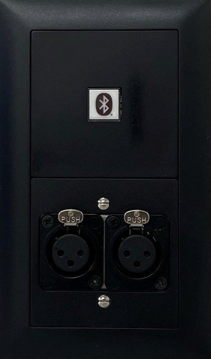 0119847_unterputzanschluss-mit-bluetooth-input-und-2x
