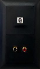 0119852_unterputzanschluss-mit-bluetooth-input-und-2x_230