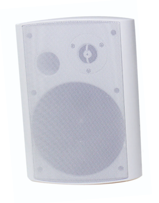 lucky-tone-dante-wp-630-poe-dsp