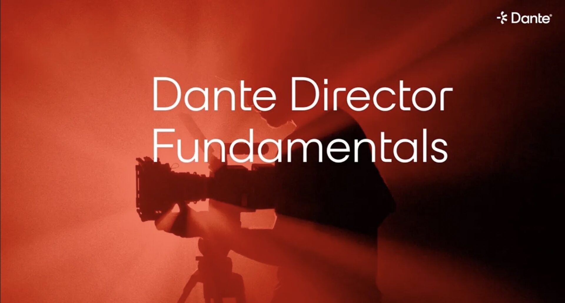 Dante Program Dante Director | Dante