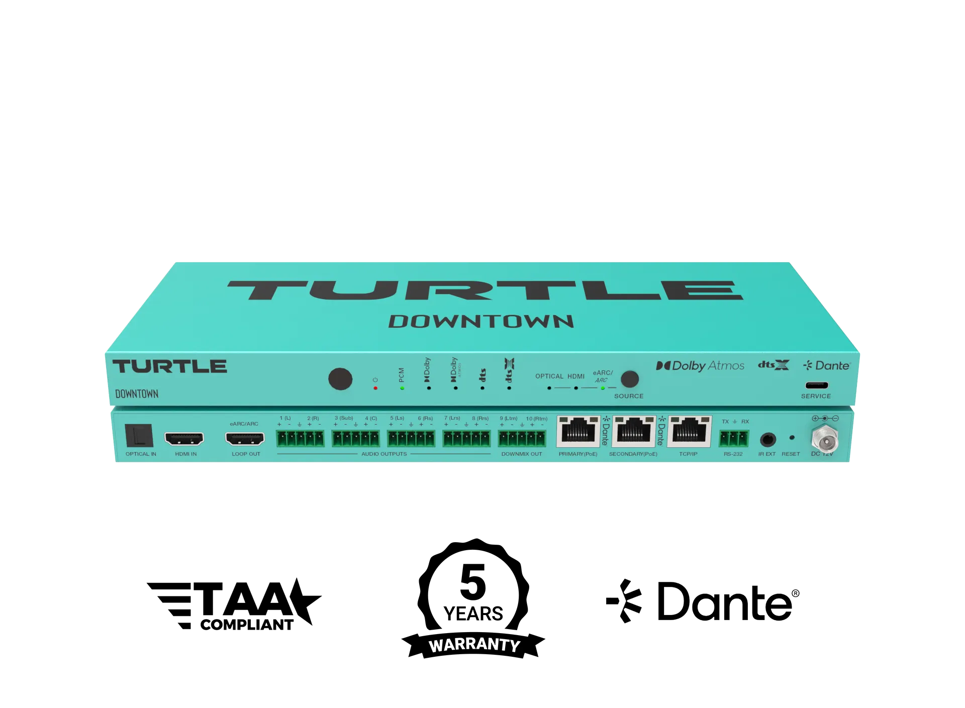 Turtle AV Downtown