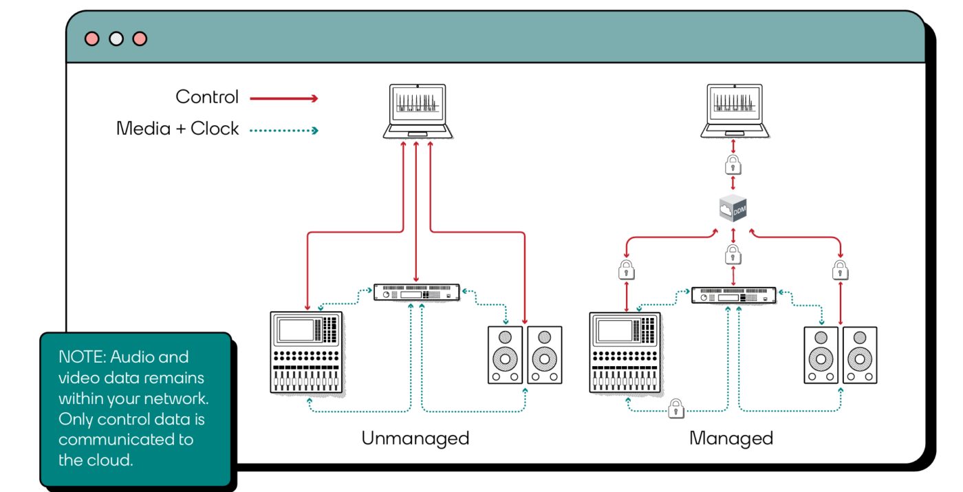Comparing Dante Director and Dante Domain Manager | Dante